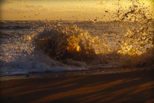 � �������� �����