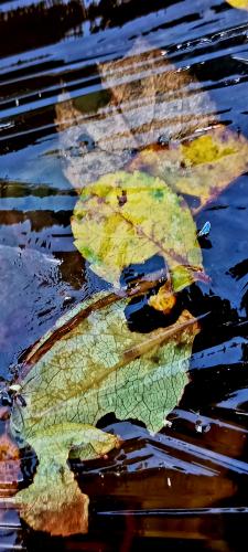 ������ �� 