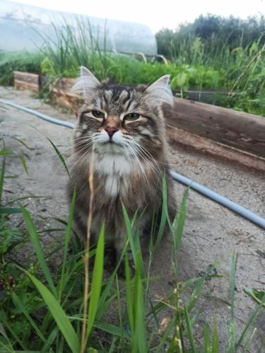 �������� �� ����