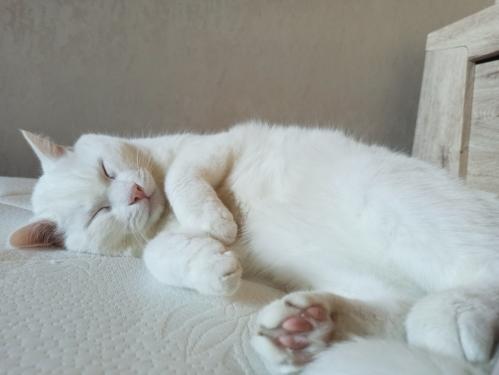 ��� ����