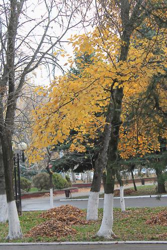 ����� � ������