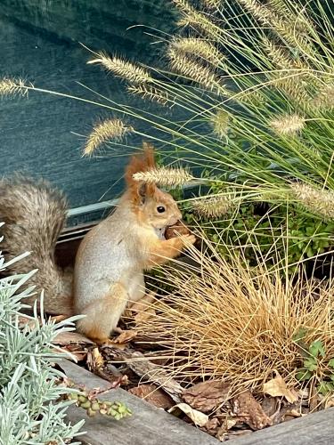 ����� � ����