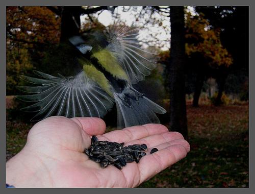 ������ � ����