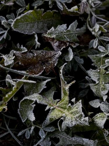 ������ � ��������