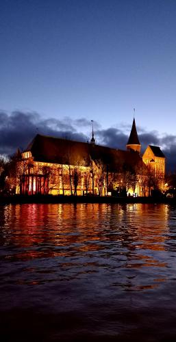 ������ ����