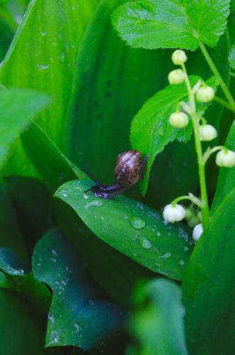 ����� �����