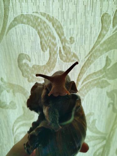 �� ���� �����