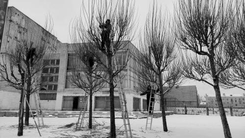 ������ ���������