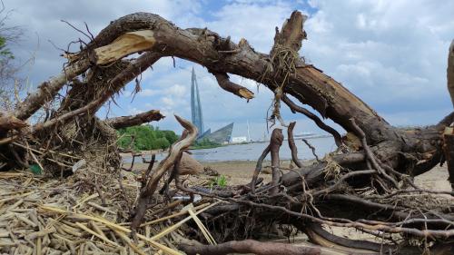 ����� ����������