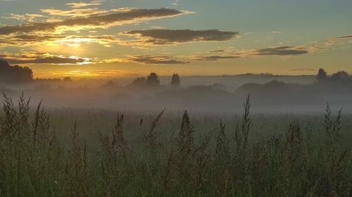 �����. �������