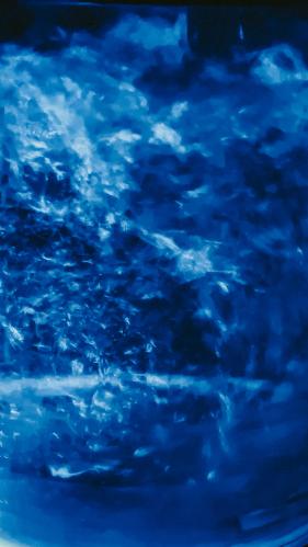 ���� � �������