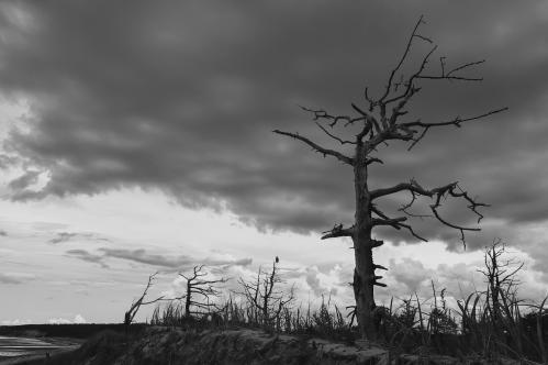 �������� ��������� 