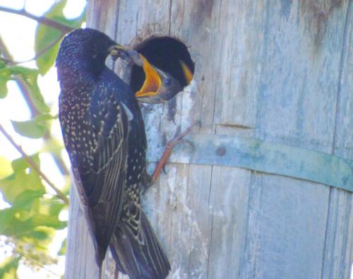 �������