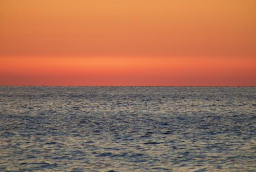 ����� ���������