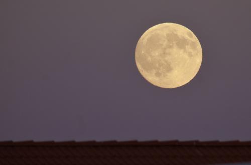 ��� ������ ���� �����