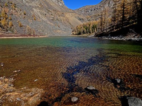 ������ �����.