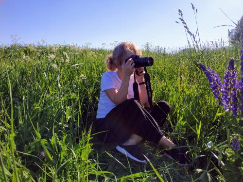 �� �������