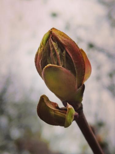 ����� ���! 