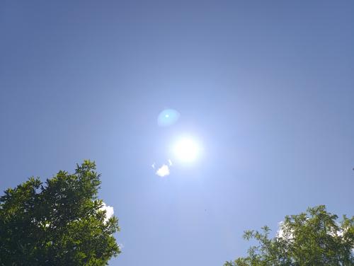 � ������