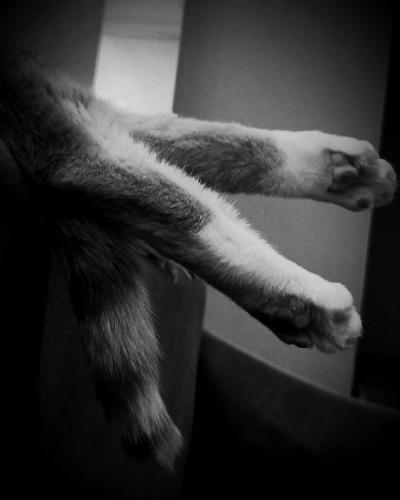 ���� � �����