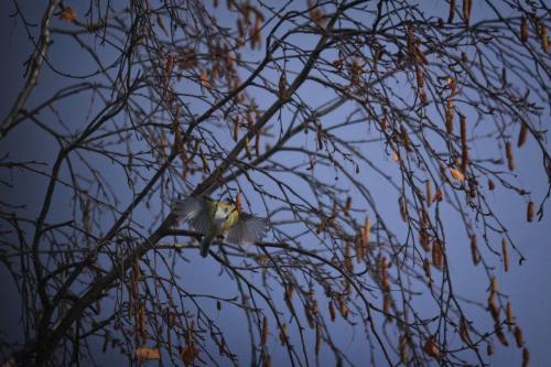 � ������