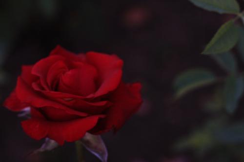 ��������� � ����