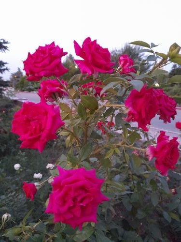 �������� ����.