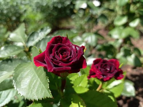 �  ���� ����