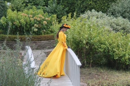 ����� ������� ����