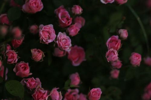 �������� �������