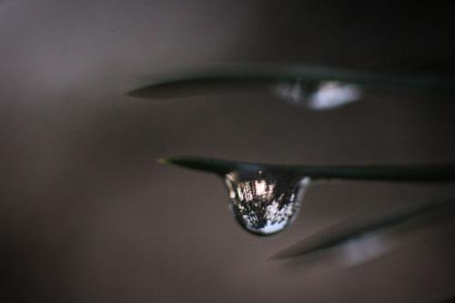 ��� � ����� �����