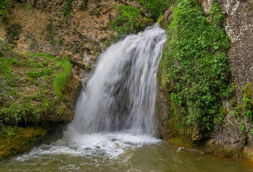 ������� ���������