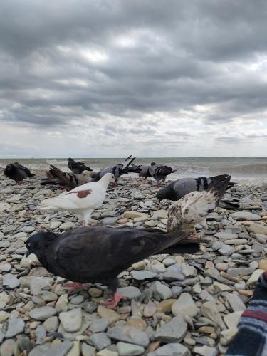 ���������� ������� 