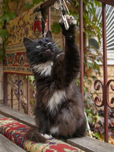 �������