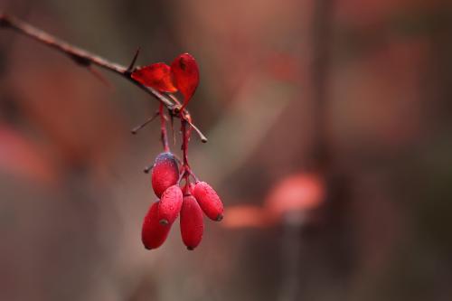 �������� � ������. 