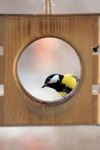 ��� �����? 