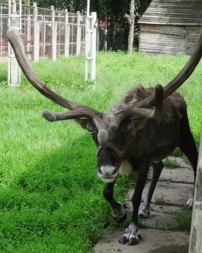 �������� �����