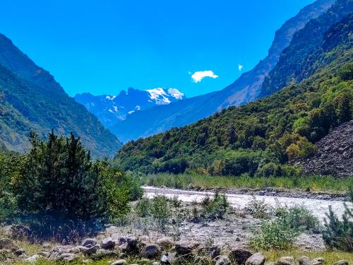 ������ ������