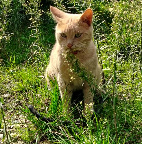 ����� ���� 