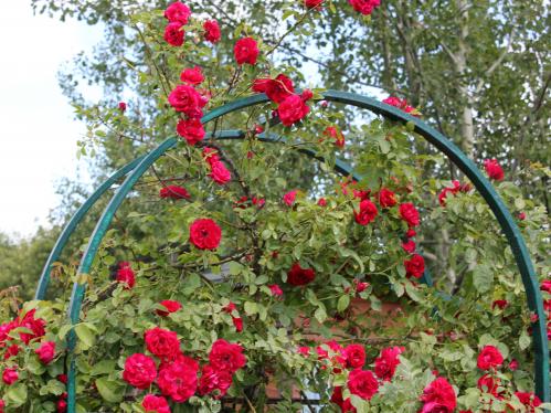 ���������� �����