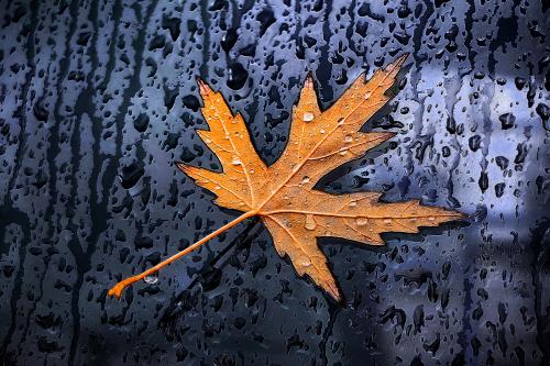 ���� �����. 