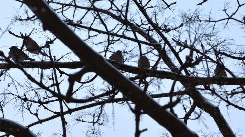 ������� �� �����