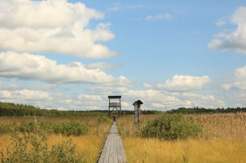 �������� �����