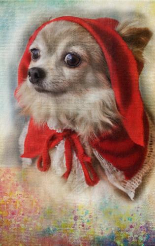 ������� �������