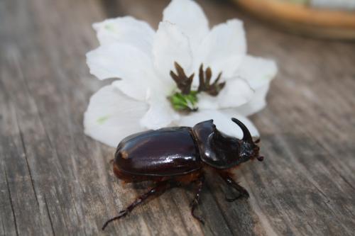 � ����� ���� ����...