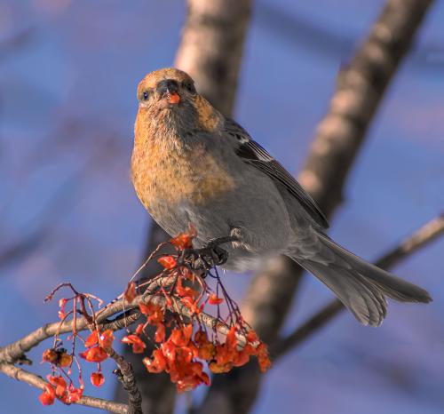 ���� ������������