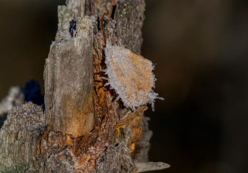 ������� ������ &amp;#65533;