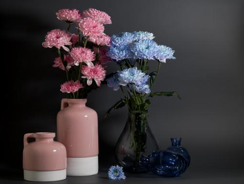 ��������� ���������� 