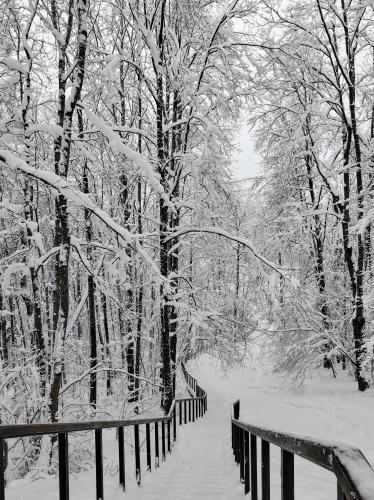 ������ � ������