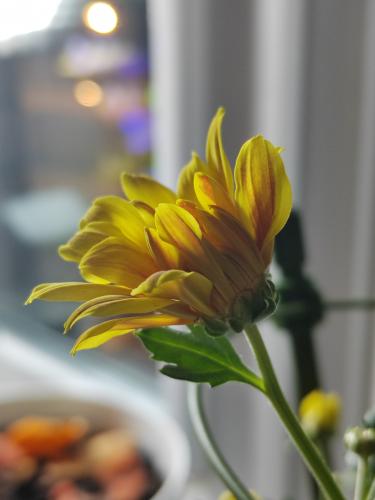 ���������� � ������